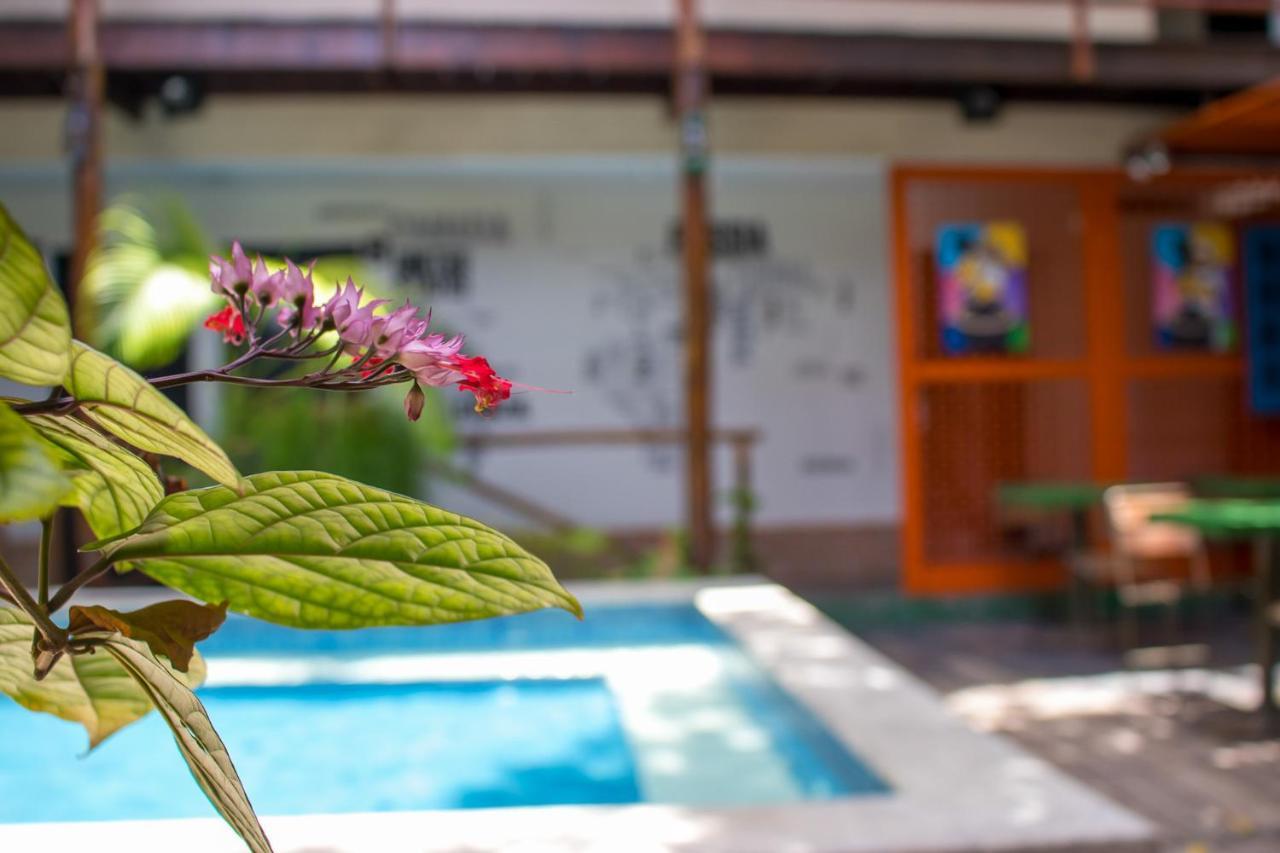Inn Aju - Tematica 3*